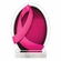 6 x 8 INCH OVAL ACRYLIC PINK DONOR APPRECIATION AWARD WITH PINK RIBBON