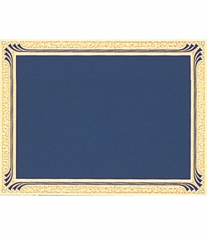 6 X 8 SCREENED BLUE PLATE