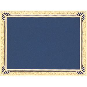 6 X 8 SCREENED BLUE PLATE