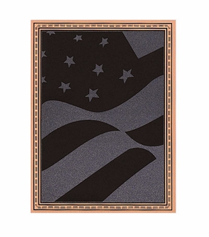 6 X 8 SCREENED FLAG PLATE