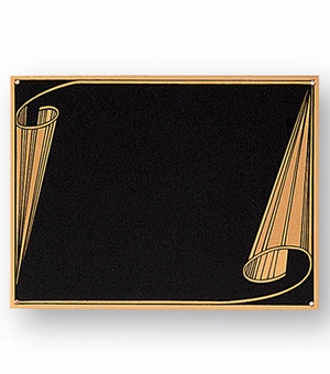 6 X 8 SCREENED PLATE