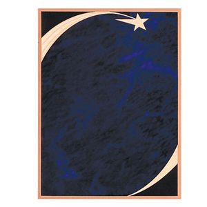 6 X 8 SCREENED STAR PLATE