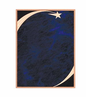 6 X 8 SCREENED STAR PLATE