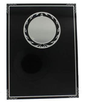 6 x 8 silver screened plate