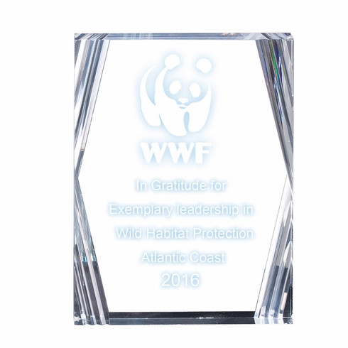 6" x 8" x 7/8" CORPORATE CLEAR ACRYLIC RECTANGLE AWARD BEVELED CUT CORNERS