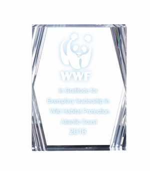 6" x 8" x 7/8" CORPORATE CLEAR ACRYLIC RECTANGLE AWARD BEVELED CUT CORNERS