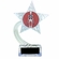 7-1/2 INCH CLEAR ACRYLIC SHOOTING STAR TROPHY WITH SKELETON INSERT
