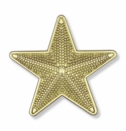 7/8 INCH BRIGHT GOLD 3D TEXTURED STAR LAPEL PIN
