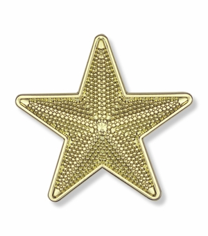 7/8 INCH BRIGHT GOLD 3D TEXTURED STAR LAPEL PIN