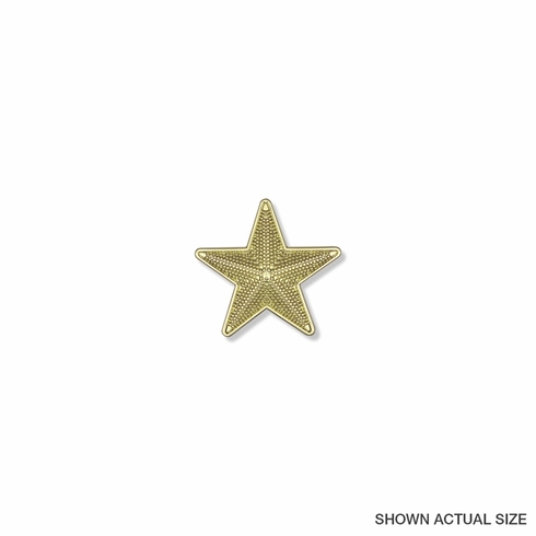 7/8 INCH BRIGHT GOLD 3D TEXTURED STAR LAPEL PIN