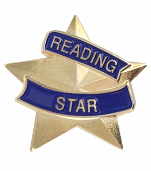 7/8 INCH READING STAR LAPEL PIN