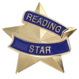 7/8 INCH READING STAR LAPEL PIN