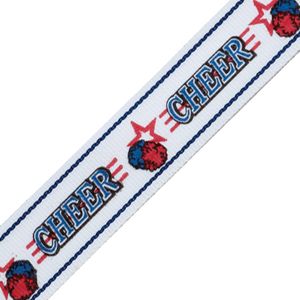 7/8X32 CHEERLEADER NECK RIBBON