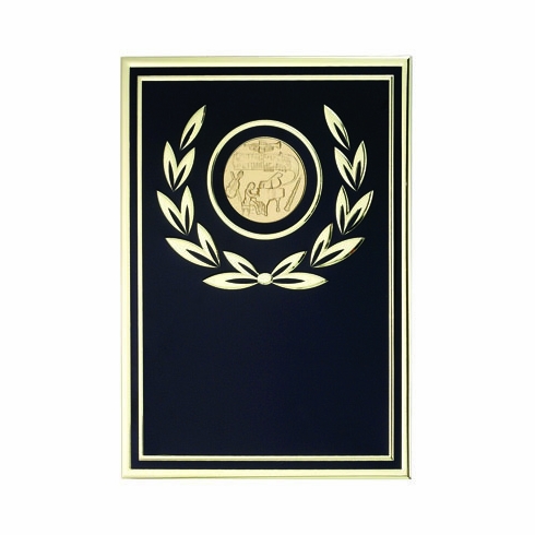 7 X 10 BLACK/GOLD ALUMINUM PLATE HOLDS INSERT