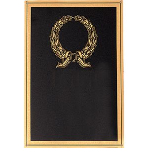 7 X 10 BLACK SCREENED PLATE