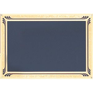 7 X 10 BLACK SCREENED PLATE