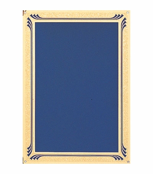 7 X 10 BLUE SCREENED PLATE