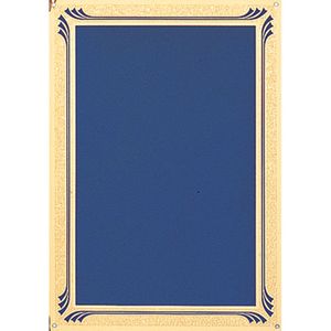 7 X 10 BLUE SCREENED PLATE