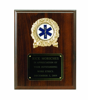 7 X 9 INCH OCCUPATIONAL PLAQUE, WALNUT FINISH, TAKES 2 INCH INSERT