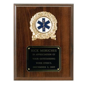 7 X 9 INCH OCCUPATIONAL PLAQUE, WALNUT FINISH, TAKES 2 INCH INSERT