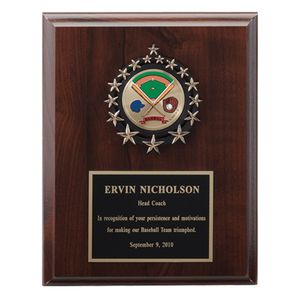 7 X 9 INCH PLAQUE WITH BLACK PLATE TAKES INSERT