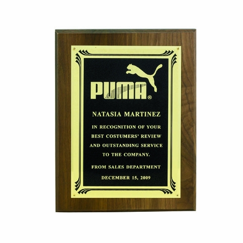 7 X 9 INCH PLAQUE WITH SCREEN FROSTED PLATE - COLOR OPTIONS