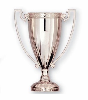 8-1/4 INCH DIE CAST SILVER CUP, NO LID