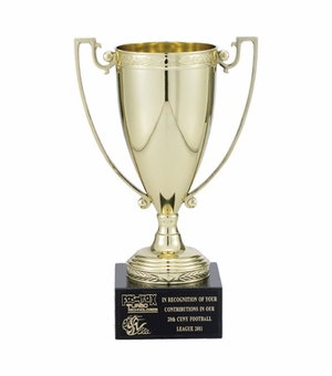 8-1/4 INCH TROPHY WITH 6-3/4 INCH GOLD CUP ON BLACK MARBLE BASE