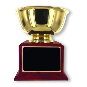 8 INCH DIAMETER GOLD BOWL TROPHY