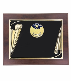 8 X 10 AWARD PLAQUE WITH 2 INCH DISTINGUISHED SERVICE AWARD MEDALLION INSERT 