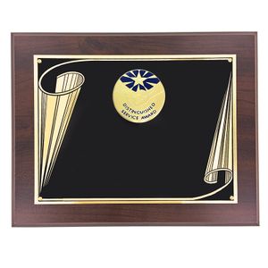 8 X 10 AWARD PLAQUE WITH 2 INCH DISTINGUISHED SERVICE AWARD MEDALLION INSERT 