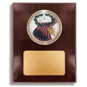 8 X 10" DARK CHERRY WALNUT FINISH PLAQUE HOLDS 4" TRACK STONE CAST EMBLEM
