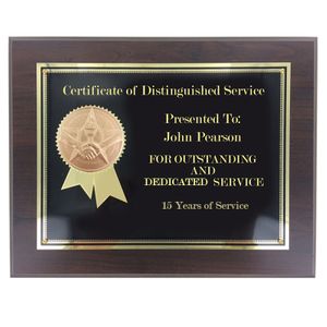 8" x 10" HANDSHAKE AND STAR PLAQUE 2" STAMPED MEDALLION INSERT