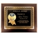8 X 10 INCH DISTINGUISHED SERVICE AWARD PLAQUE WITH 2 " ETCHED ENAMEL BRASS MEDALLION