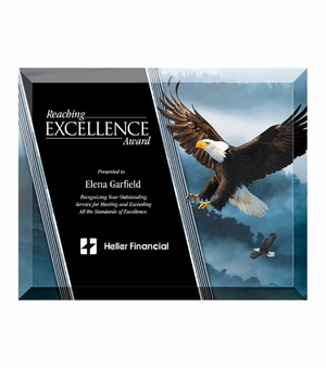 8 X 10 INCH EAGLE GLASS PLAQUE WITH BEVELED EDGE