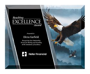 8 X 10 INCH EAGLE GLASS PLAQUE WITH BEVELED EDGE