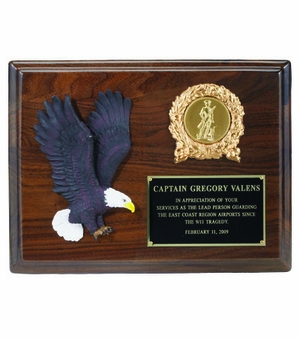 8 X 10 INCH EAGLE PLAQUE, WITH HAND PAINTED EAGLE, TAKES 2 INCH INSERT