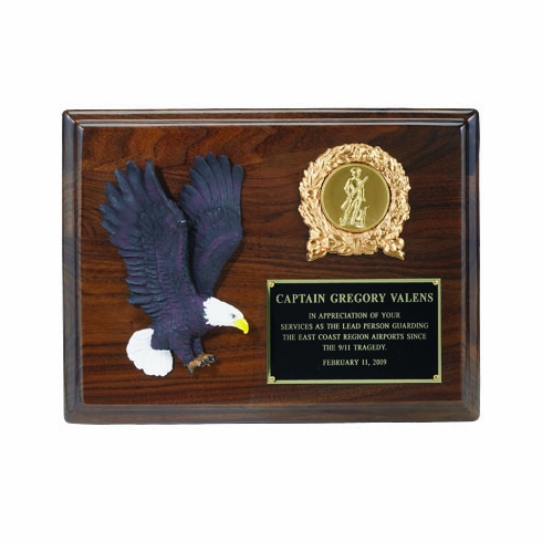 8 X 10 INCH EAGLE PLAQUE, WITH HAND PAINTED EAGLE, TAKES 2 INCH INSERT