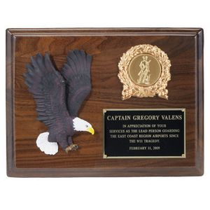 8 X 10 INCH EAGLE PLAQUE, WITH HAND PAINTED EAGLE, TAKES 2 INCH INSERT
