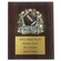 8 X 10 INCH FULL COLOR RAISE MODELED FOOTBALL PLAQUE