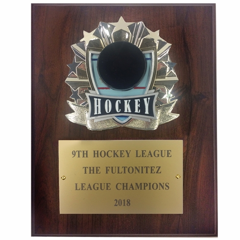8 X 10 INCH FULL COLOR RAISE MODELED HOCKEY PLAQUE