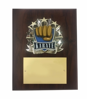 8 X 10 INCH FULL COLOR RAISE MODELED KARATE PLAQUE