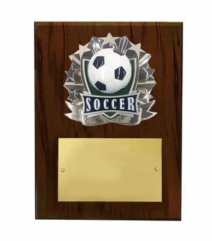 8 X 10 INCH FULL COLOR RAISE MODELED SOCCER PLAQUE