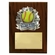 8 X 10 INCH FULL COLOR RAISE MODELED SOFTBALL PLAQUE