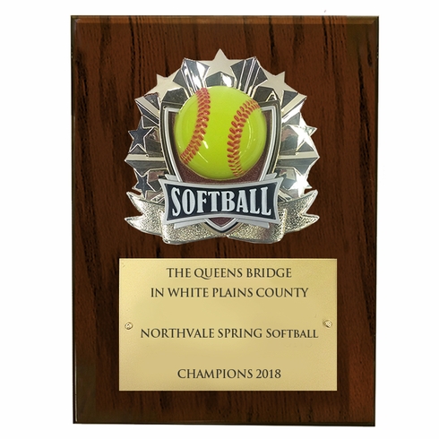 8 X 10 INCH FULL COLOR RAISE MODELED SOFTBALL PLAQUE