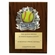 8 X 10 INCH FULL COLOR RAISE MODELED SOFTBALL PLAQUE