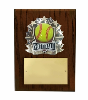 8 X 10 INCH FULL COLOR RAISE MODELED SOFTBALL PLAQUE