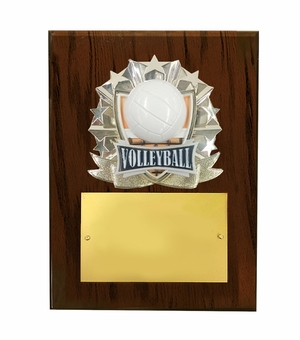 8 X 10 INCH FULL COLOR RAISE MODELED VOLLEYBALL PLAQUE