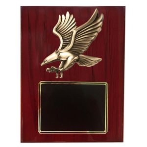 8 X 10 INCH MEDIUM SIZE MODERN EAGLE PLAQUE