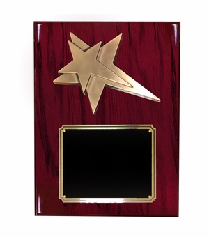8 X 10 INCH MEDIUM SIZE MODERN STAR PLAQUE